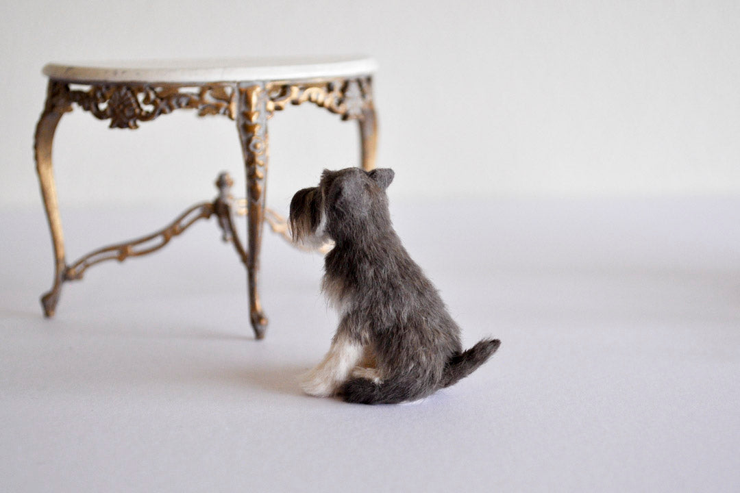ESTATE TREASURE: Miniature Schnauzer by Annie Willis