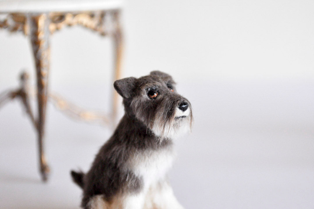 ESTATE TREASURE: Miniature Schnauzer by Annie Willis