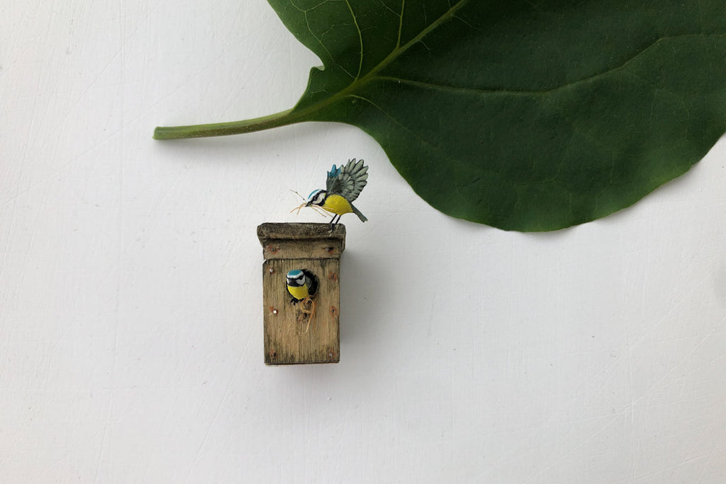 ESTATE TREASURE: Two Blue Tits & Their Nest Box by Beth Freeman-Kane