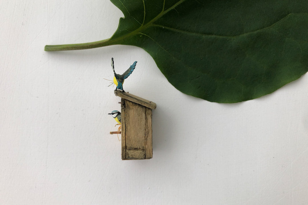 ESTATE TREASURE: Two Blue Tits & Their Nest Box by Beth Freeman-Kane