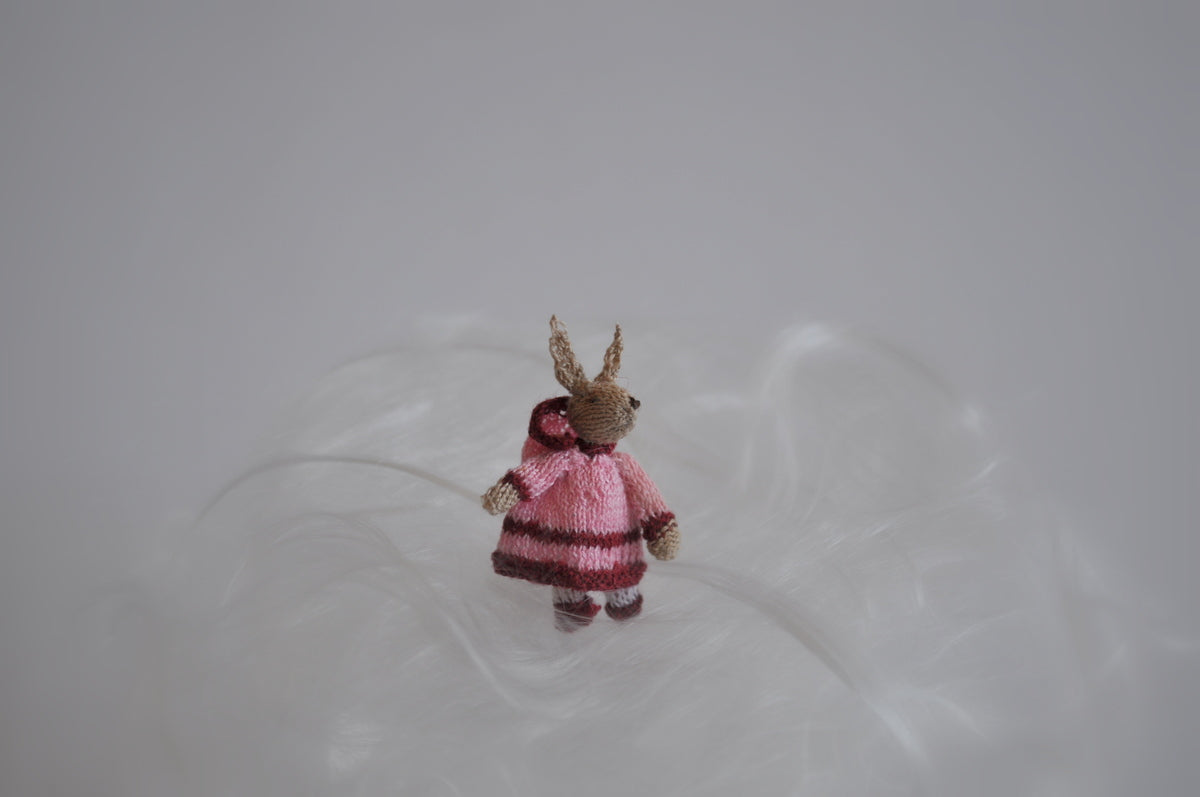 Little Fashion Bunny Girl Dressed in a Pink & Maroon Dress & Hood by Jenny Tomkins
