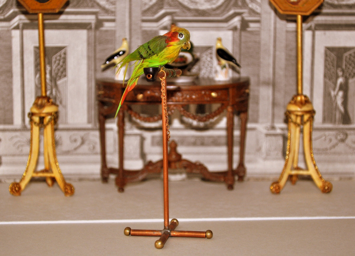 ESTATE TREASURE: Pet Parrot on Stand by Annie Willis - Fine Design